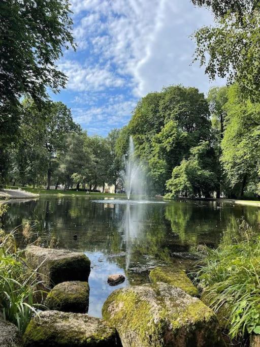 Cozy By Royal Palace * Oslo