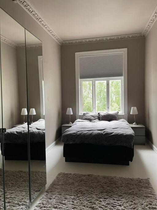 Cozy By Royal Palace Oslo